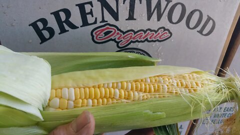 Grilling Corn in Guido's Garden