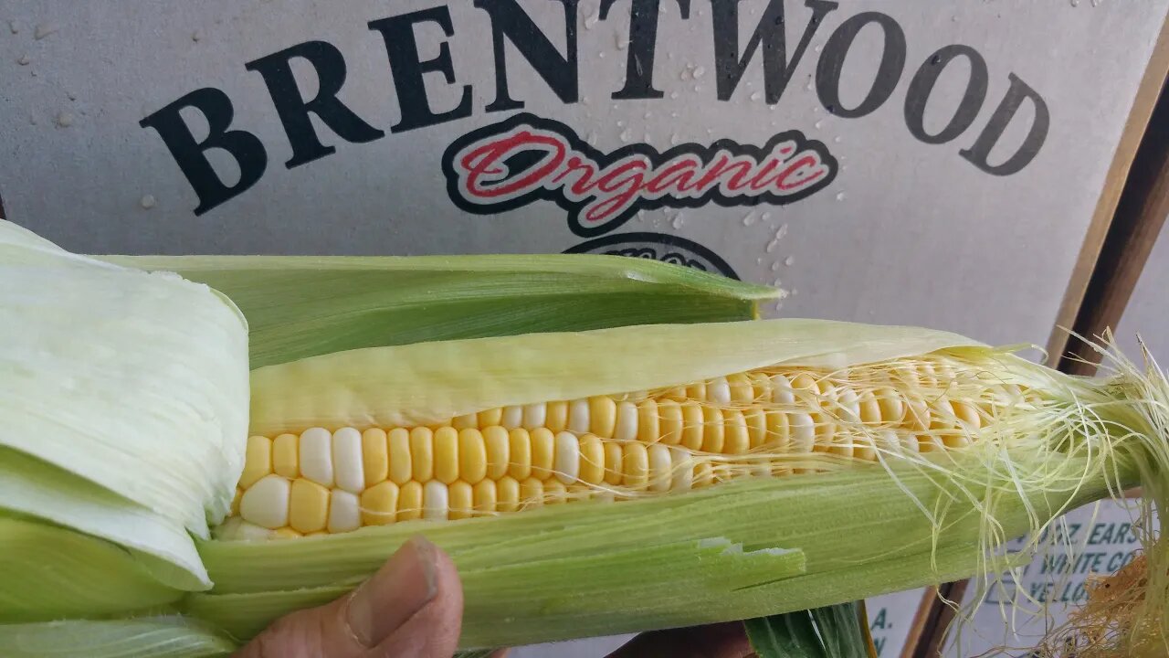 Grilling Corn in Guido's Garden