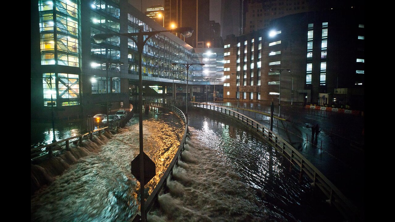 Wild Moments from the Massive Flooding in NYC, As Even a Zoo Sea Lion Went for a Jaunt