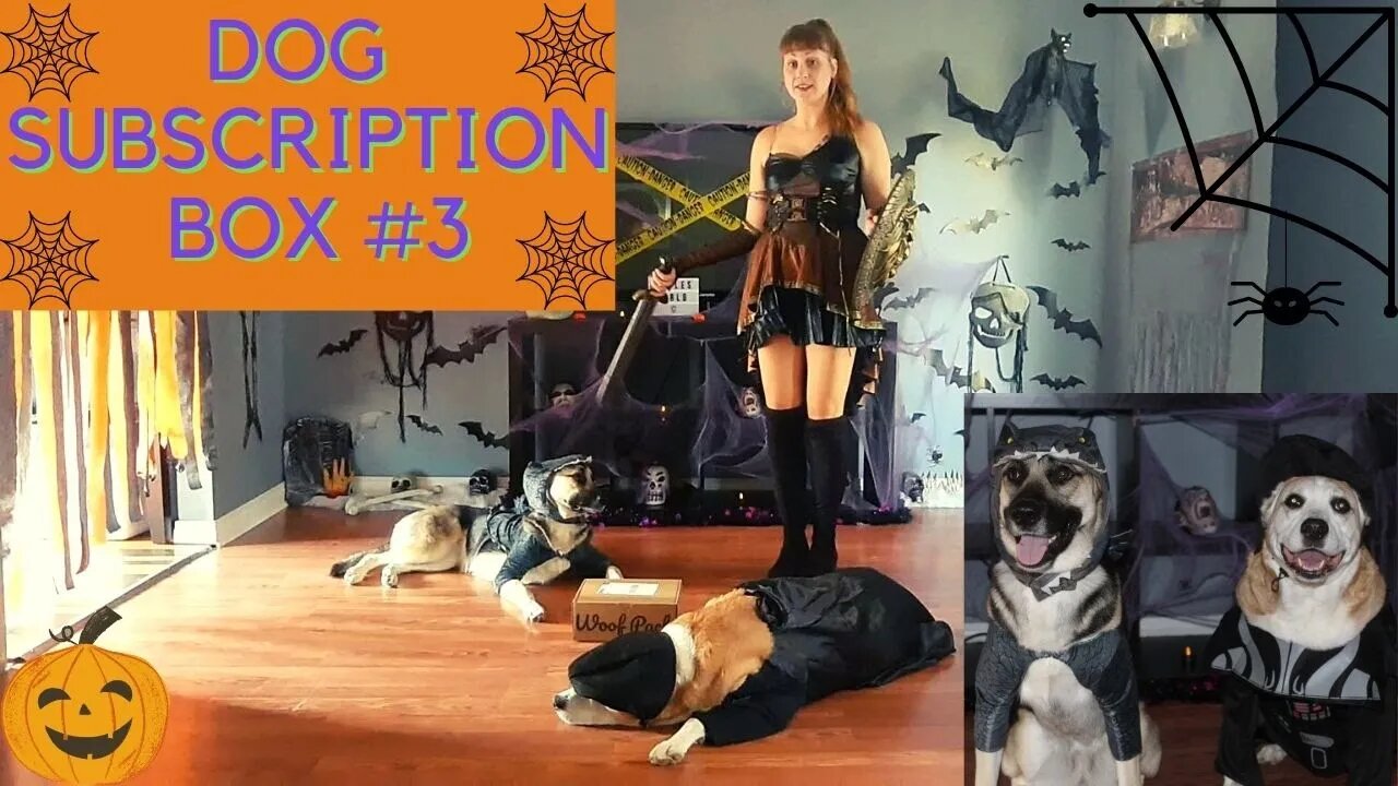 Dog Subscription Box Halloween | Dog Vader and Dogzilla