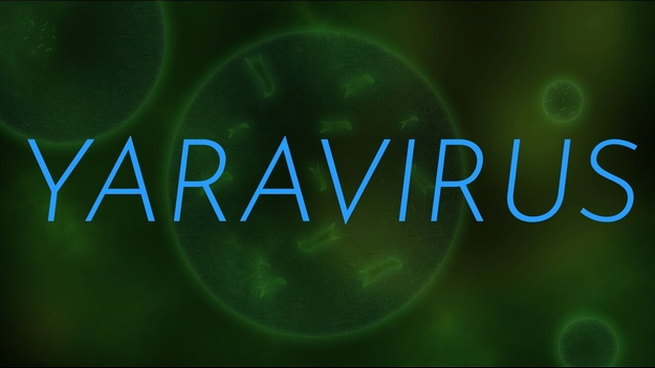Yaravirus: Something New, Weird and Unknown