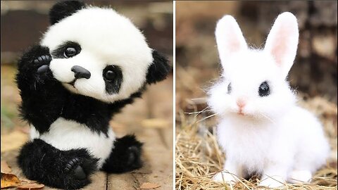 Cute Baby Animals Videos Compilation | Funny and Cute Moment of the Animals #7 - Cutest Animals 2023