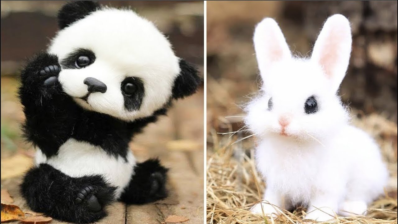 Cute Baby Animals Videos Compilation | Funny and Cute Moment of the Animals #7 - Cutest Animals 2023