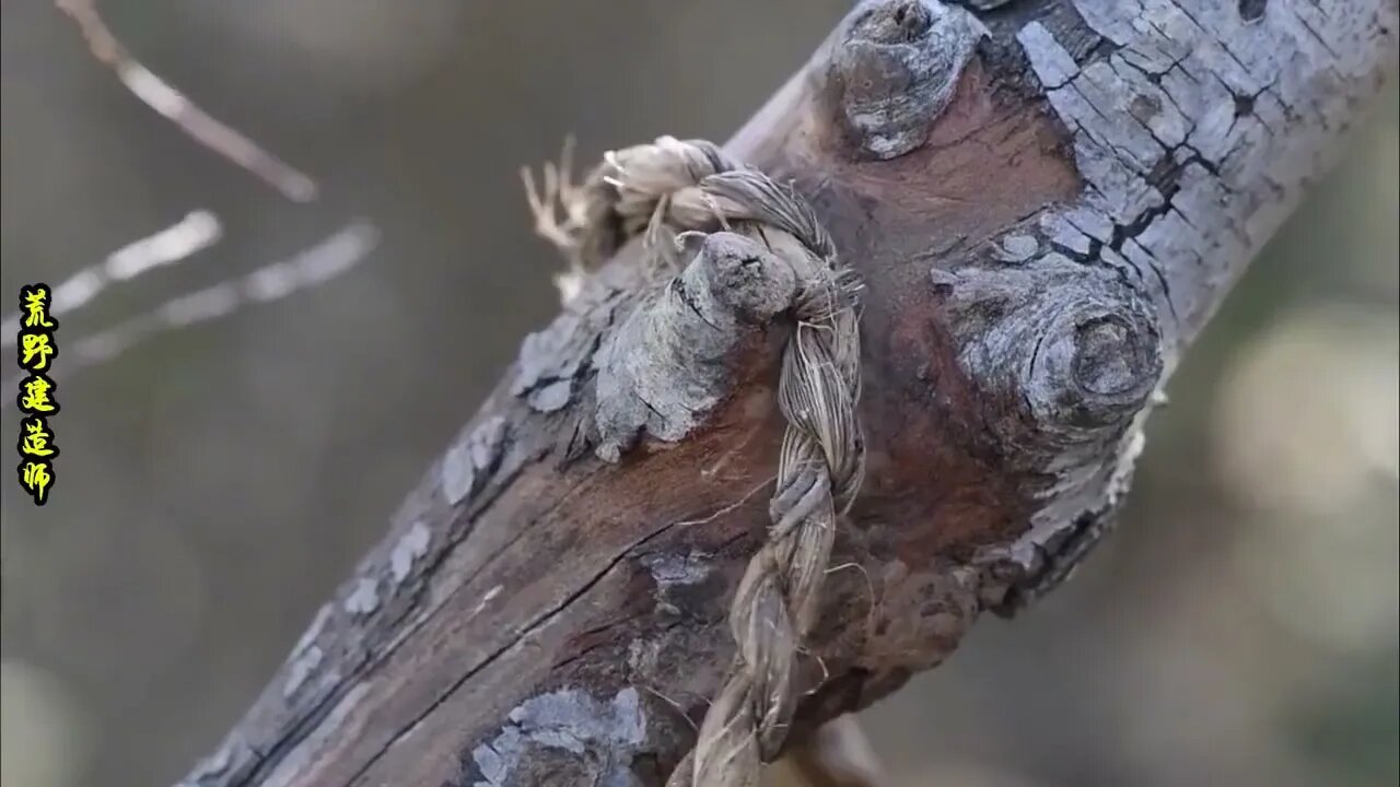 48: After three years in the wilderness, he learns how to survive in the wild.