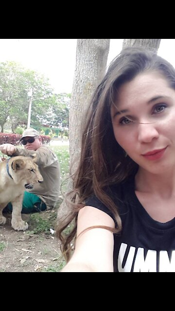 little kitten in the Zoo