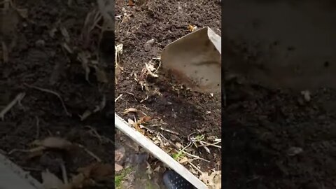 Adding Compost