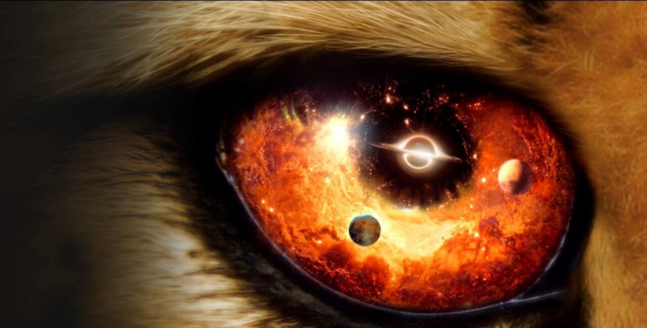 Nuestro universo - El reloj cósmico - EPISODIO 2