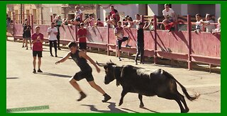 CABANILLAS ( NAVARRA ) TARDE VACAS CALLE ( DOMINGO 4 JUNIO 2023 ) GANAD.EULOGIO