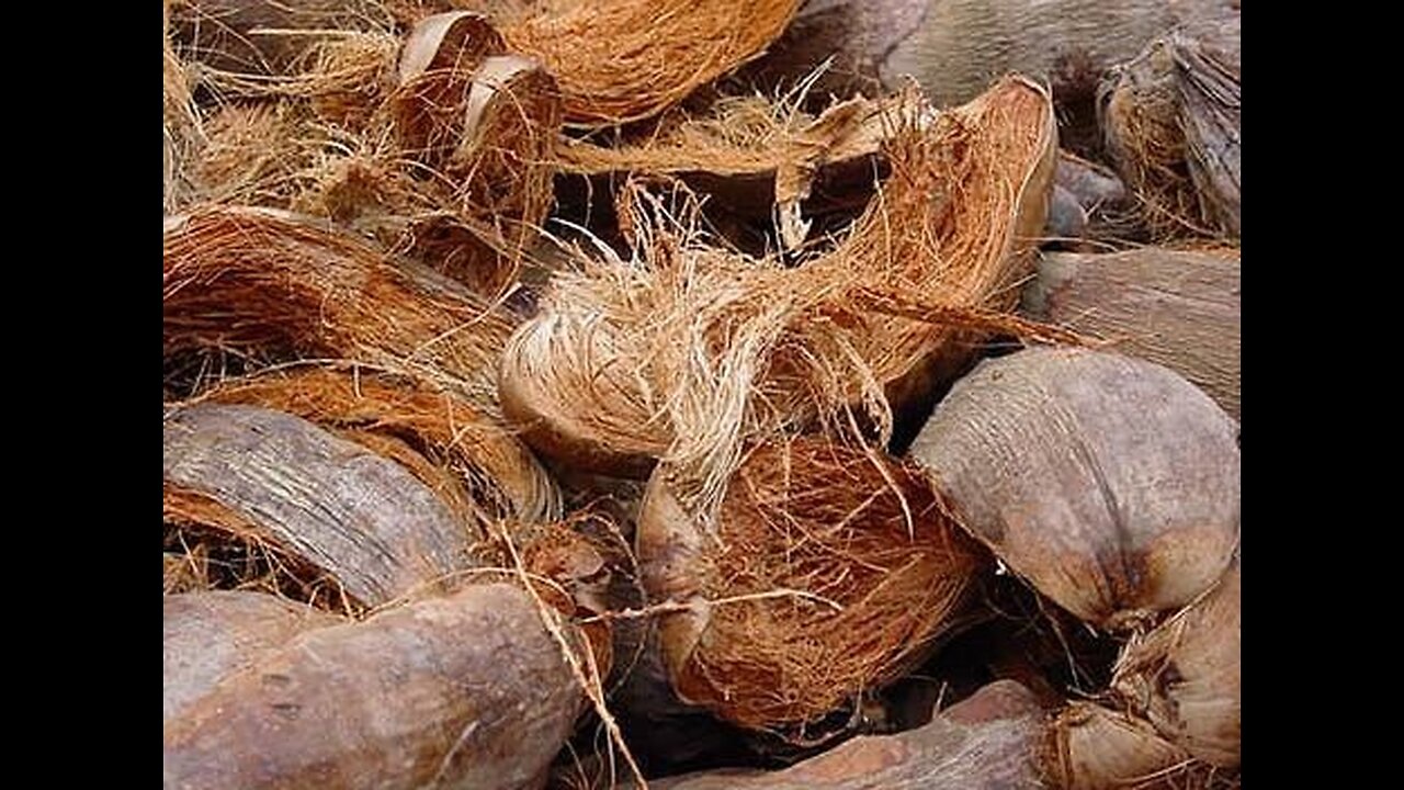 Coconut to Coir