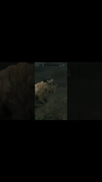 Skyrim Shorts - Another reason this game is the GOAT