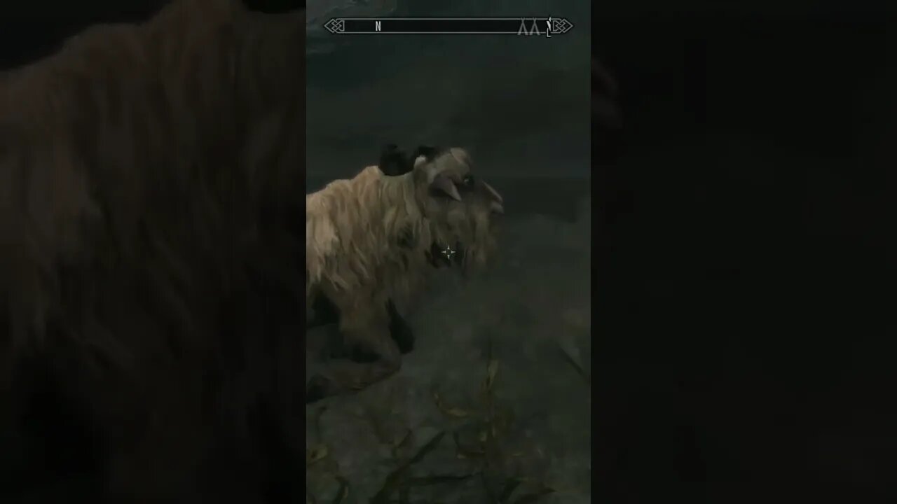 Skyrim Shorts - Another reason this game is the GOAT