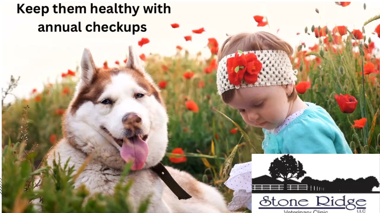 Stone Ridge Veterinary Clinic Riverton Utah