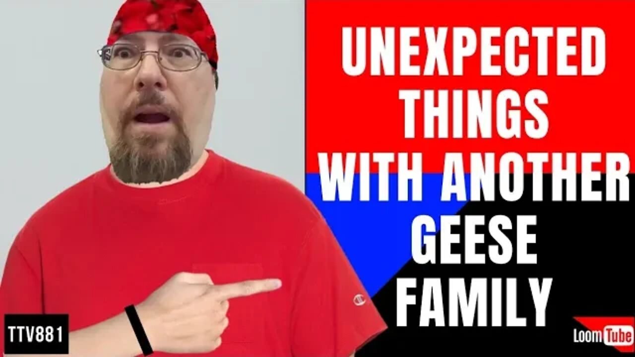 UNEXPECTED THINGS WITH ANOTHER GEESE FAMILY - 052120 TTV881