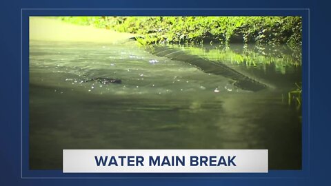 Water main break closes part of Interbay Boulevard