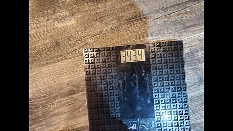 Weigh-In Nov 14, 2024