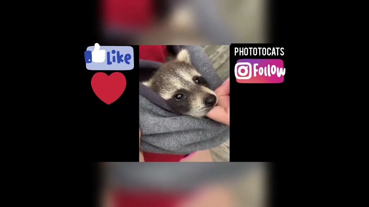 yes...