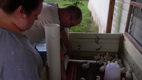 Building a Feeder for the Brooder