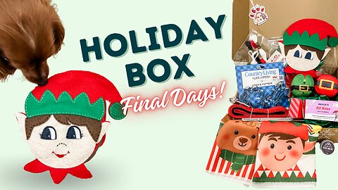 Act Fast: Final Hours for the Snuffle Toy Holiday Gift Box