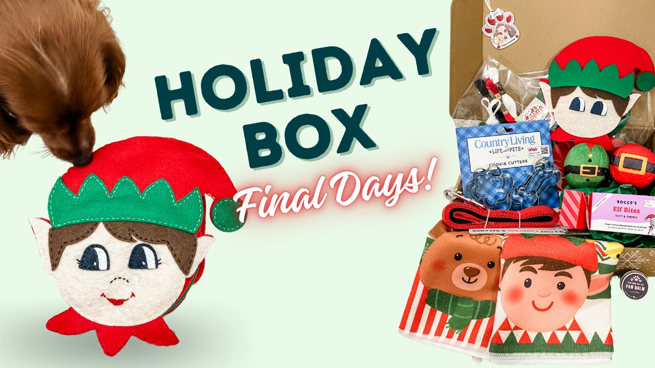 Act Fast: Final Hours for the Snuffle Toy Holiday Gift Box