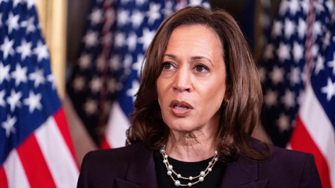 'No! No! No!' - Top Democrat Thrashes Kamala Harris Live On Air