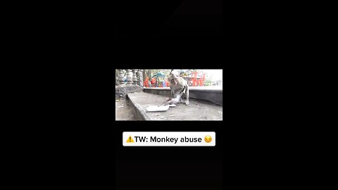 MONKEY LIVES MATTER