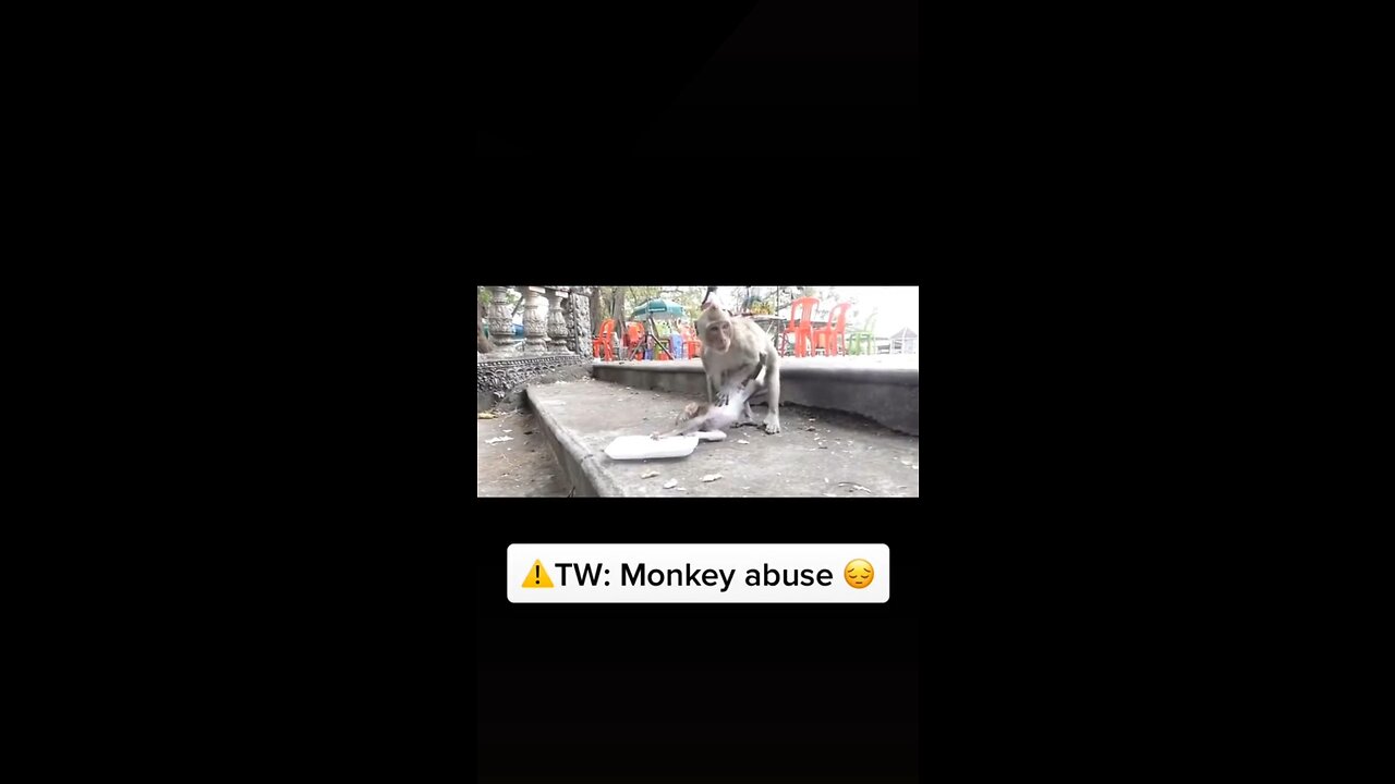 MONKEY LIVES MATTER