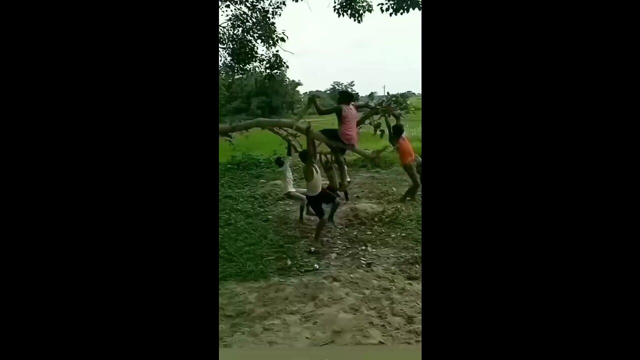 Funny video 😂