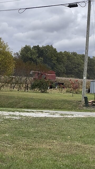 Harvest Time 🚜 #combineharvester #tractor #farm #corn