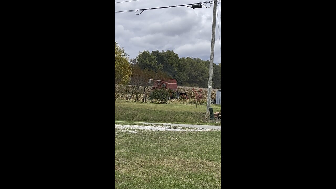 Harvest Time 🚜 #combineharvester #tractor #farm #corn