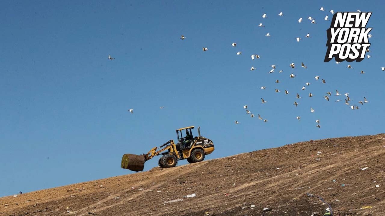 Florida man in porta-potty crushed to death by bulldozer