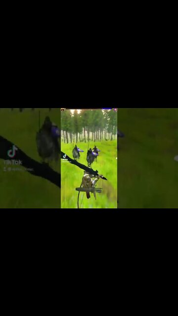 Bannerlord mods from TikTok 3