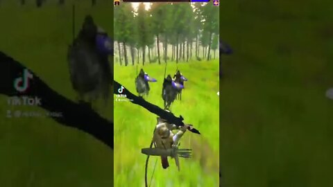 Bannerlord mods from TikTok 3