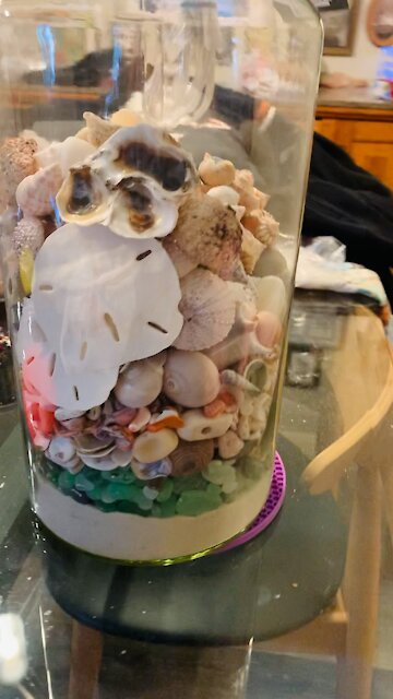 Craft of the Day 🐚