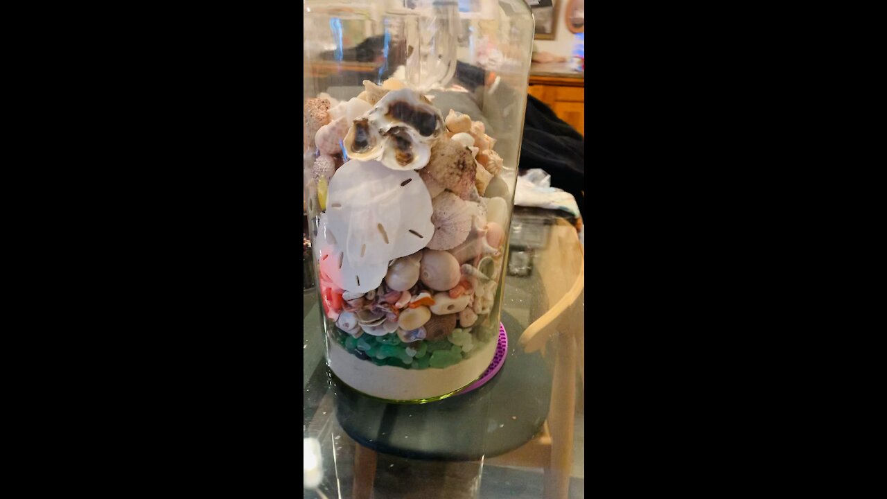 Craft of the Day 🐚