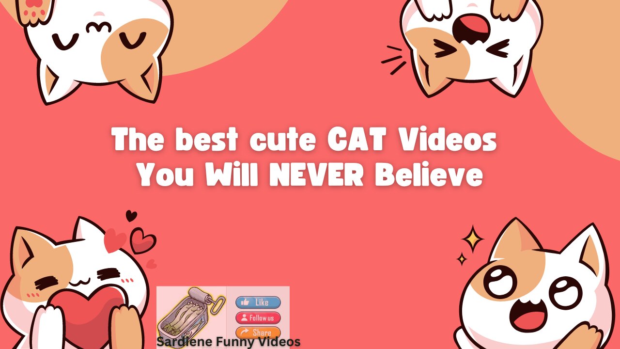 #002 The best cute CAT Videos - You will NEVER believe