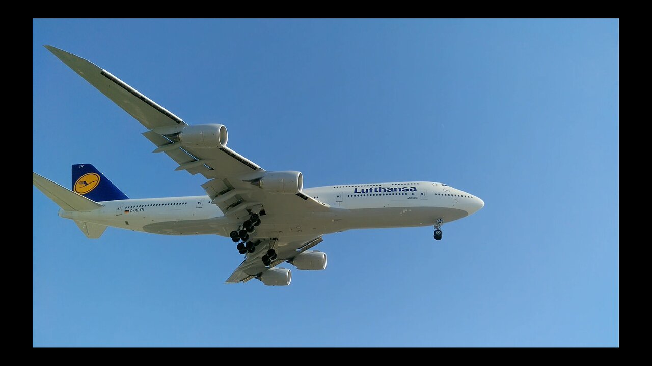 LAX Plane Spotting #LAX #planespotting #flyover #airplane