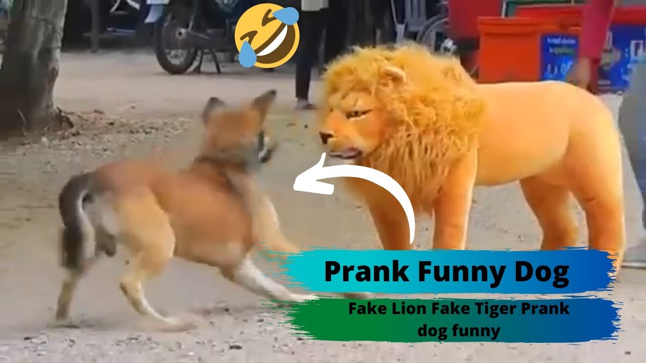 Prank Dog Funny | Fake Lion | Fake Tiger | Prank To Dog.