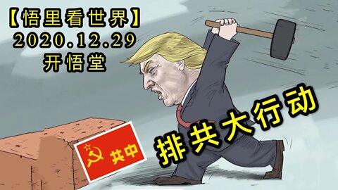 KWT686 排共大行动201229-05【悟里看世界】