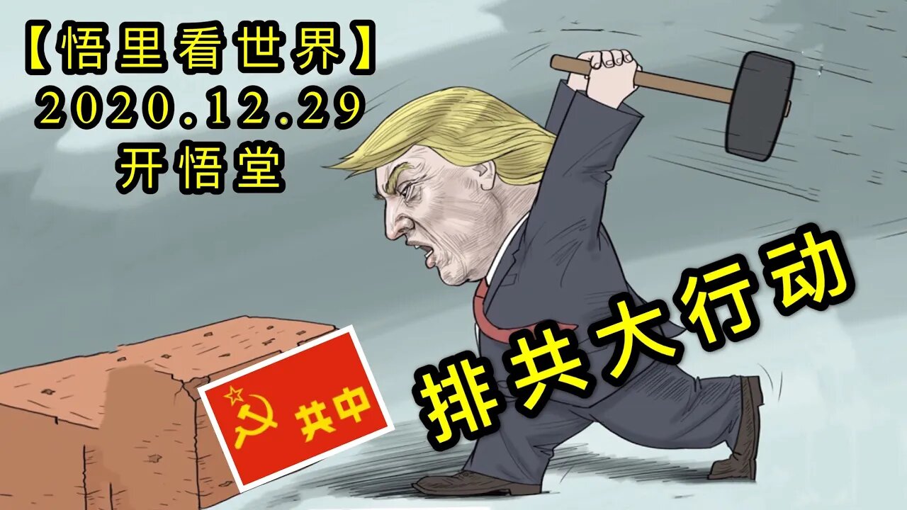 KWT686 排共大行动201229-05【悟里看世界】