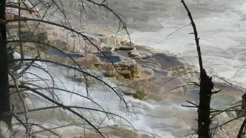 Mammoth Hot Springs - upper terraces