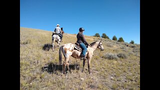Phoenix leading the ride