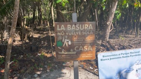 Honduras Jungle Adventure monkey