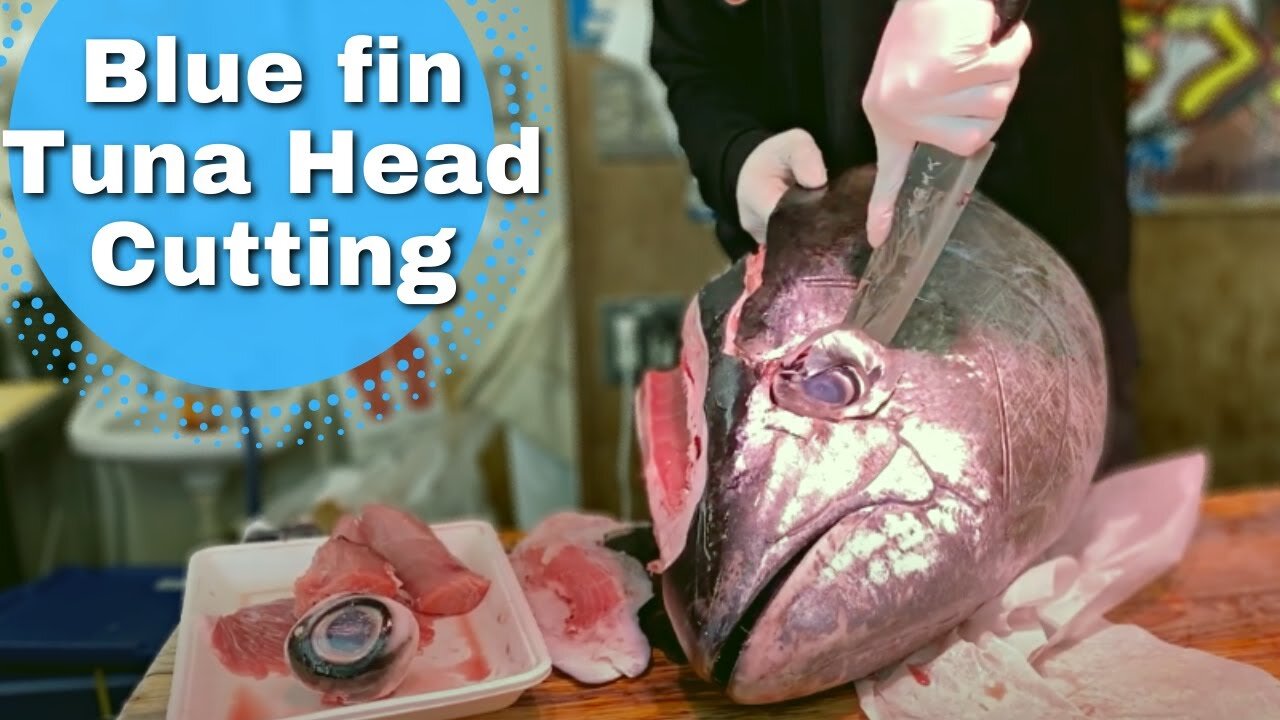 Cutting Blue Fin Tuna Head, removing cheek flesh no wastage