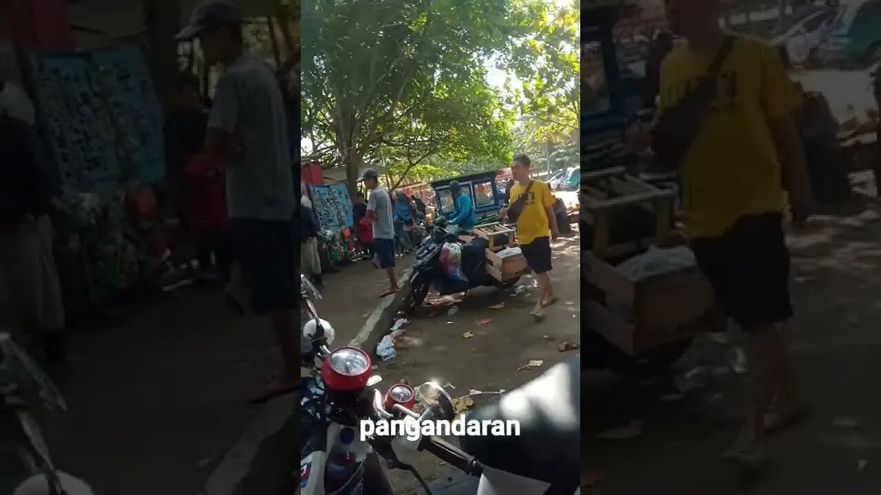 info Pangandaran