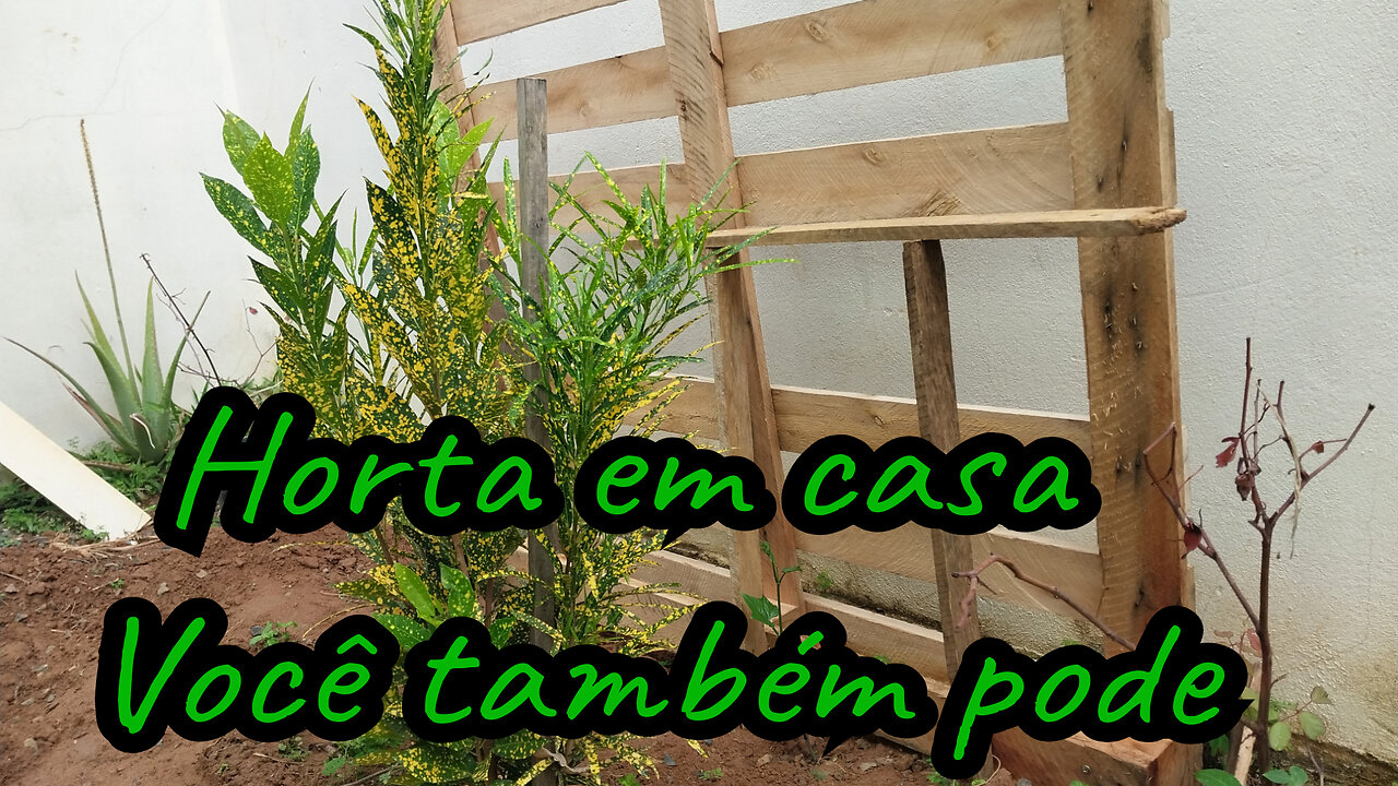 Horta em casa - Plantar em casa - Plantas em casa - O que plantar em casa