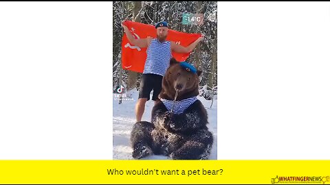 Who wouldn't want a pet bear?