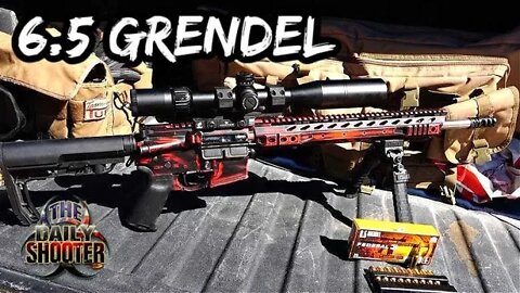 6.5 Grendel Project Review Accuracy & Reliability