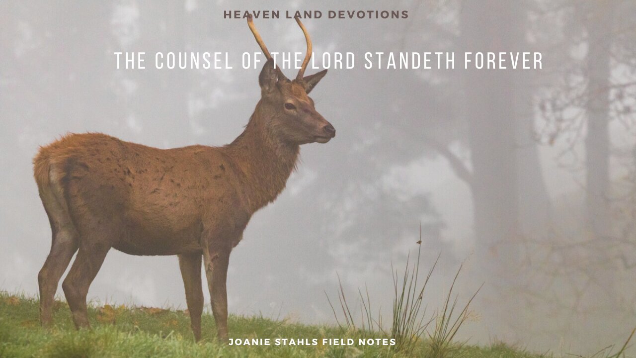 Heaven Land Devotions - The Counsel of the Lord Standeth Forever