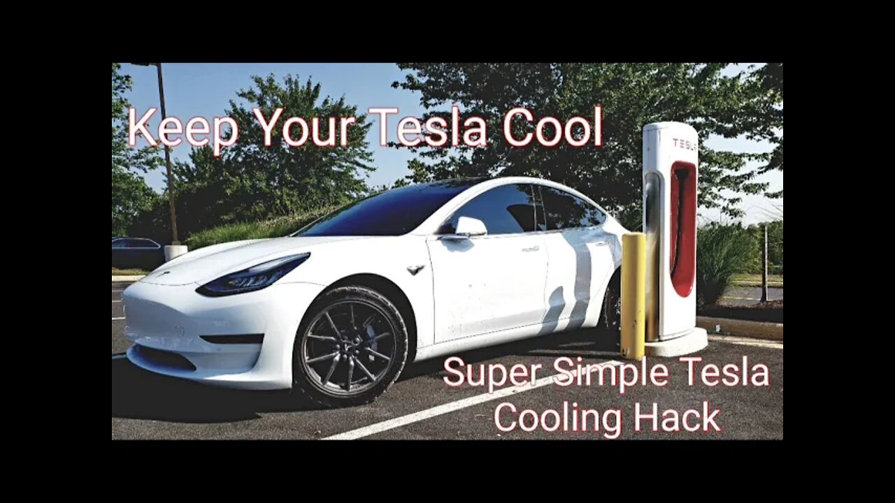 Tesla + Dogs - Tesla Hack To Keep Cool. Driving a Tesla With Dogs.