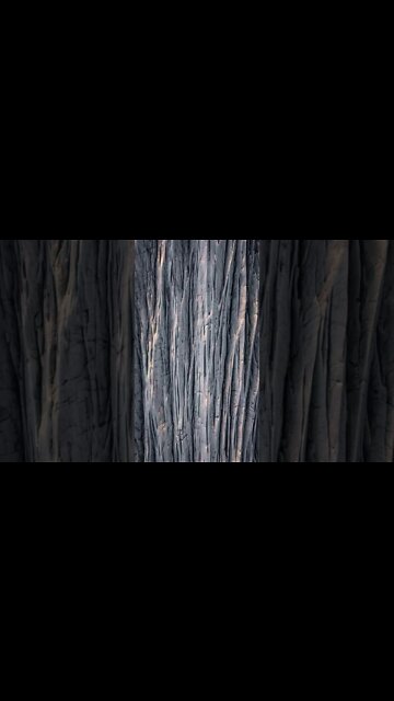 78 Aurora Borealis DIZARO #shorts #shortsvideo #music #shots #calm #relaxsation